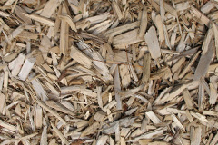 biomass boilers Icomb